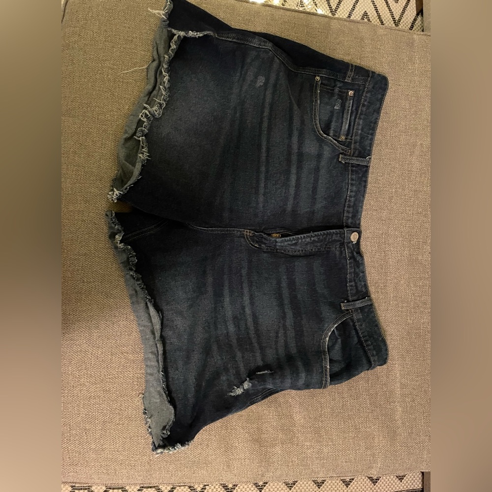 Terra & Sky Distressed Denim Shorts